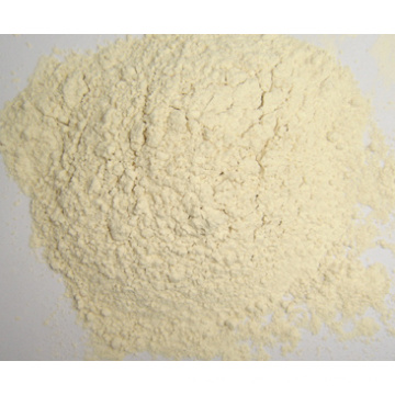 Good Quality Dehydrated Garlic Powder for Sale